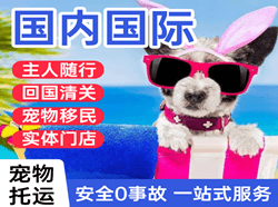 扎兰屯成吉思汗航空运输国际宠物托运 【国